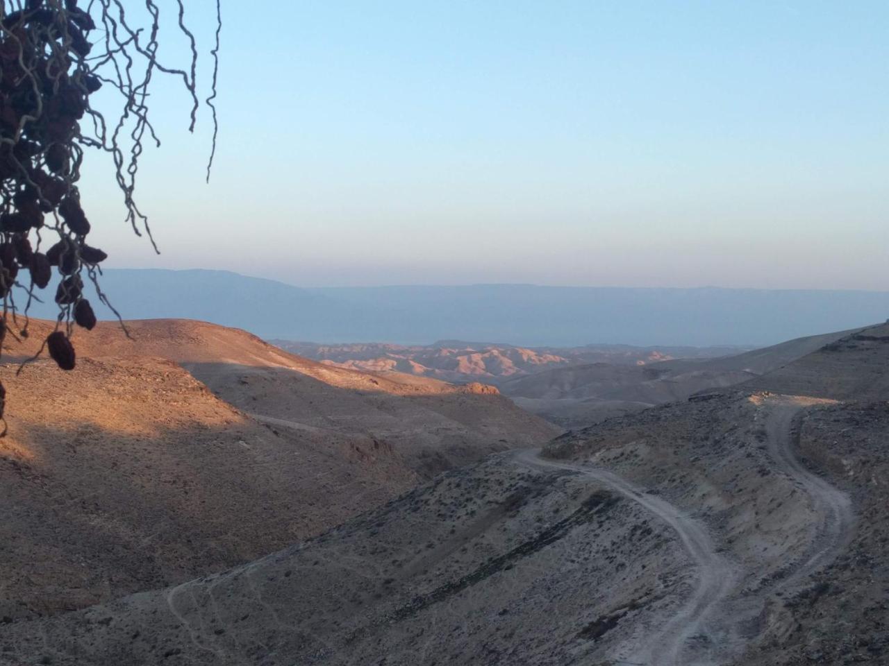 Dead Sea Desert'S Edge アラド エクステリア 写真